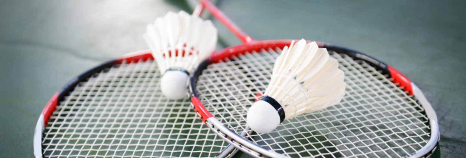 badmintonketcher og fjerbold